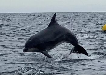 Foto (arkiv): Helene Rasmussen.