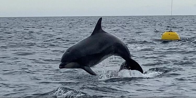 Foto (arkiv): Helene Rasmussen.