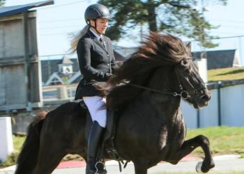 Hæmir blev norsk mester i 2023. Foto: Trine Johansen.