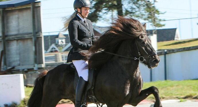 Hæmir blev norsk mester i 2023. Foto: Trine Johansen.