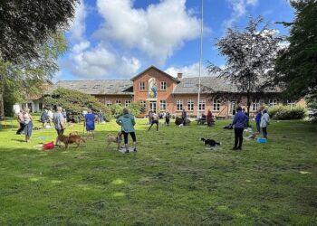 25 hundeejere er i uge 28 på kursus på Vrå Højskole.I uge 29 kommer en ny flok.