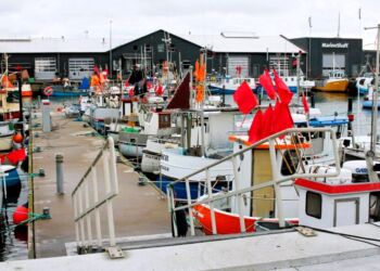 Jollehavnen i Hirtshals. Foto (arkiv): Kurt Prentow.