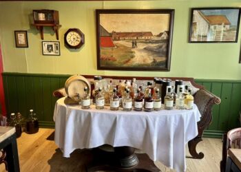 Hirtshals Krol. Foto: Niels Skipper.