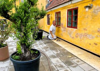 Foto: Niels Skipper.