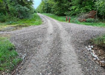 Kommunen er i gang med etablering af cykelsti tværs igennem Nejst Plantage.  Foto: Niels Skipper.