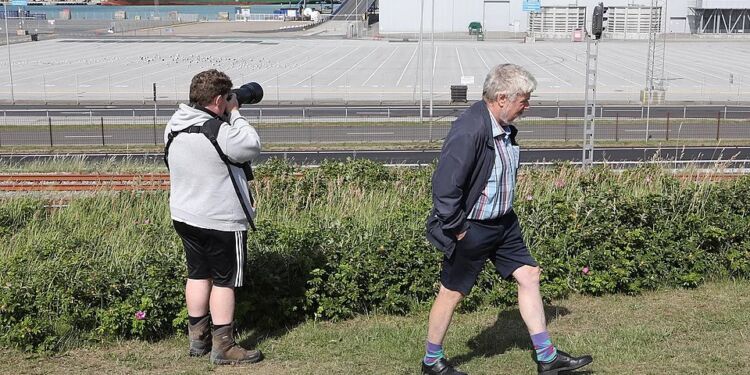 Fugleentusiaster fra Randers og Aarhus har fundet vej til Hirtshals for at spotte den sjældne Ørkentornskade.
Foto: Per Frank Paulsen / TV2 Nord.