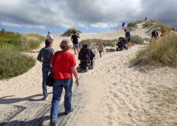 Naturstyrelsen har udlagt køreplader, så handicappede kan opleve Råbjerg Mile. Arkivfoto.
