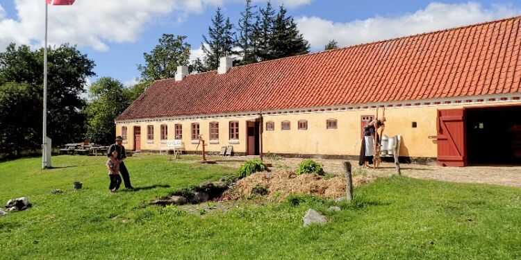 Husmandsstedet på Landbrugsmuseet i Mosbjerg er beboet i indtil den 13. august.