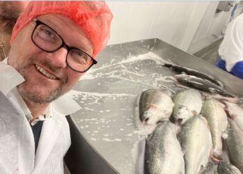René Christensen er ny direktør hos Dansk Akvakultur. Foto: Privat.