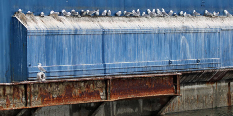 Rider ved Hirtshals Yard. Foto (arkiv): Kurt Prentow.