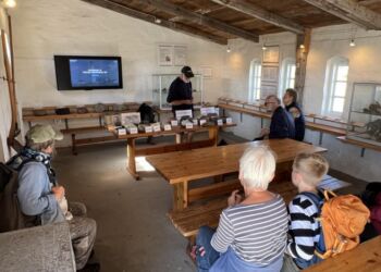 Stentur ved Hirtshals Fyr. Foto: Arkiv.