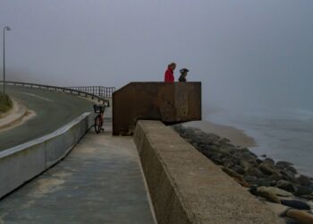Havgus ved Husmoderstranden. Foto (arkiv): Torben Elling.