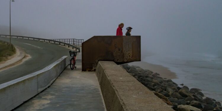 Havgus ved Husmoderstranden. Foto (arkiv): Torben Elling.