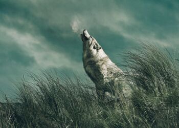 Foto: Vendsyssel Teater.