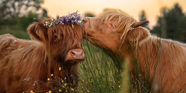 TV2 Nords nye coverfoto er fra Tversted. Foto: Sandra Kelman Hansen.