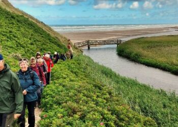 Liver Å ved Kærsgaard Strand. Foto (arkiv): Birthe Nesgaard Johansen.