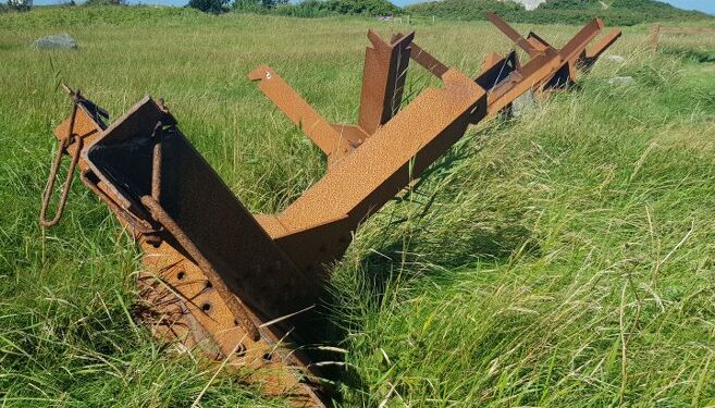 Tjekkiske pindsvin ved Bunkermuseet omkring Hirtshals Fyr. Foto: VHM.