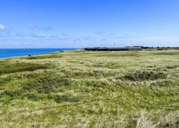 Den falske kanonstilling er afdækket til at skulle have ligget i området her syd for 10. hærkystbatteri og Hirtshals Fyr. Foto: Niels Skipper.