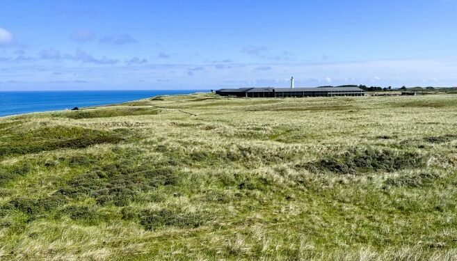 Den falske kanonstilling er afdækket til at skulle have ligget i området her syd for 10. hærkystbatteri og Hirtshals Fyr. Foto: Niels Skipper.