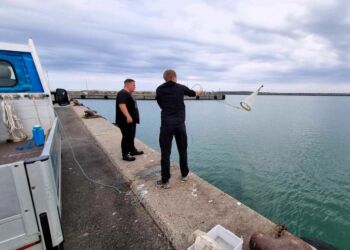 Planktonfiskeri fra kajkanten. Foto: Hirtshals Havn.
