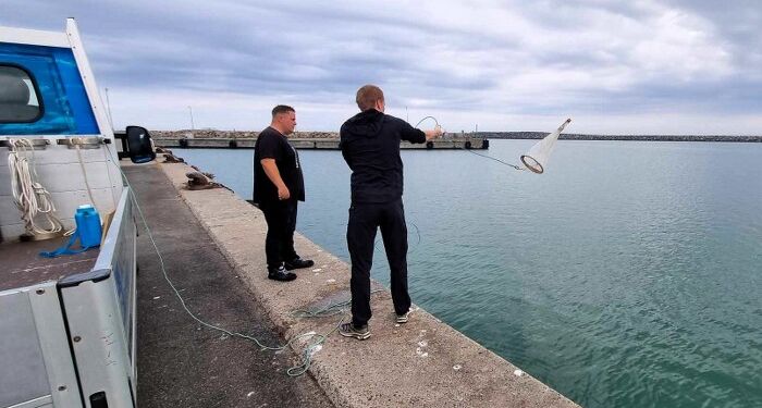 Planktonfiskeri fra kajkanten. Foto: Hirtshals Havn.