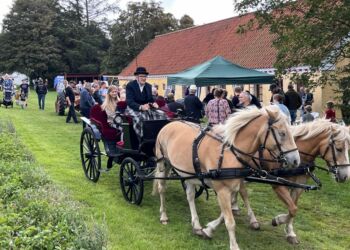 Køretur med hestevogn i det smukke område i Mosbjerg. Foto (arkiv): Niels Skipper.