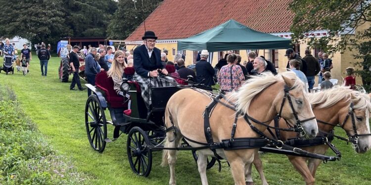 Køretur med hestevogn i det smukke område i Mosbjerg. Foto (arkiv): Niels Skipper.
