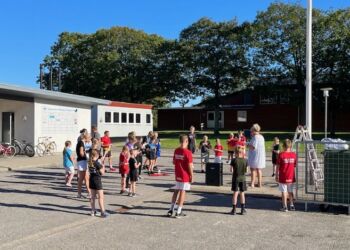 Foto (arkiv): BMI Badminton.