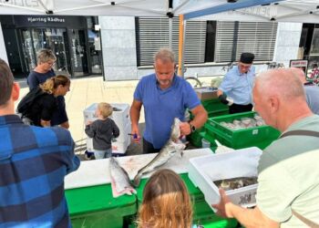 Auktionsmester Finn Møller svingede den skarpe kniv på Springvandspladsen. Foto: Hjørring Handel.