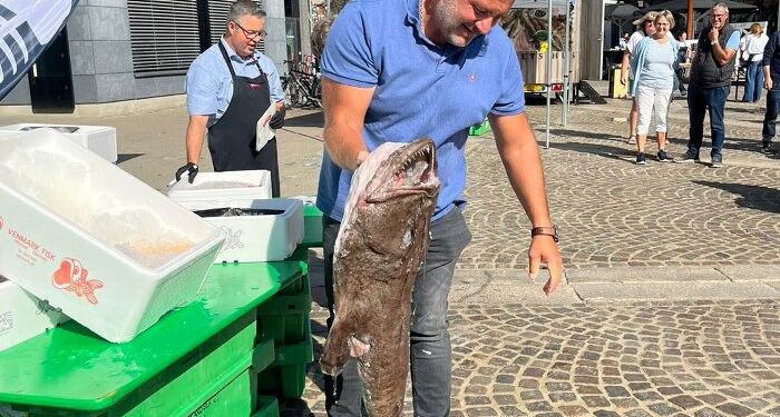 Auktionsmester Finn Møller fra Hirtshals Fiskeauktion ved Hook & Cook på Springvandspladsen i Hjørring. Foto (arkiv): Hjørring Handel.