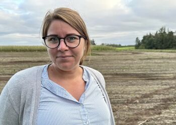 På markerne bag Anette Bæk er der planer for opførsel af 120 hektar solceller. Foto: TV2 Nord.