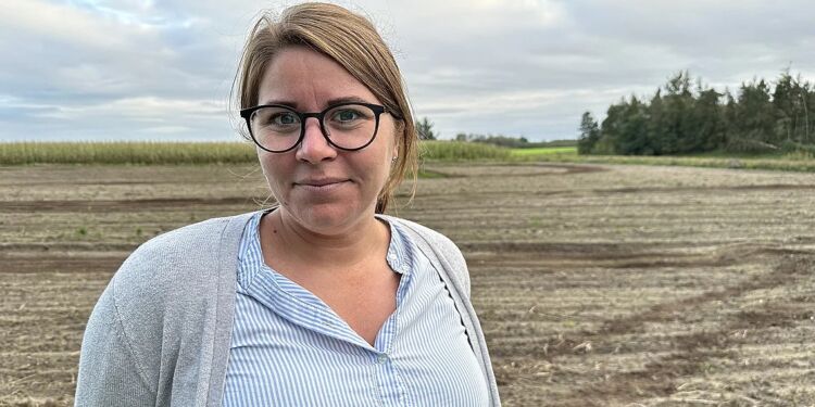 På markerne bag Anette Bæk er der planer for opførsel af 120 hektar solceller. Foto: TV2 Nord.