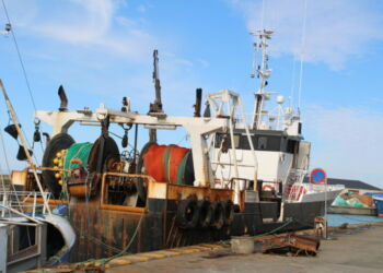 I midten af ​​august smed rederiet Horisont 2 AS, hvis fartøj her ses i Hirtshals, kortene og meldte sig konkurs. Foto Terje Engø.