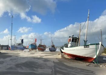 Foto: FiskeriLag Nord.