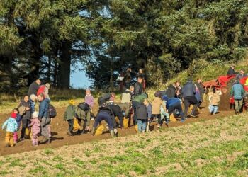 Årets Kartoffeldag i Mosbjerg blev et tilløbsstykke uden lige.