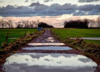 Våd vej. Foto (arkiv): Jens Kranen Photography.