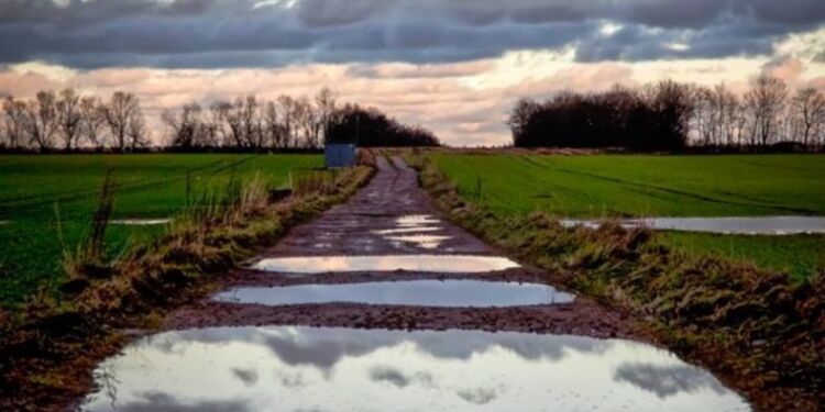 Våd vej. Foto (arkiv): Jens Kranen Photography.