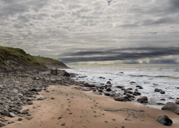 Husmoderstranden nedenfor Leret ved Hirtshals. Foto: Henrik Woodpek.