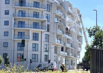 Algebekæmperen på sommerjob på ejendommen Bispehaven i Hjørring. Foto: Palle W. Nielsen