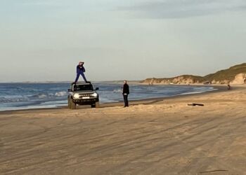 Tversted Strand er skueplads for masser af herligt liv. Foto: Palle W. Nielsen