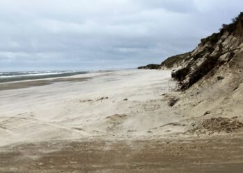 Lavvande og bred strand ved Tversted 20. oktober 2023. Foto. Palle W. Nielsen