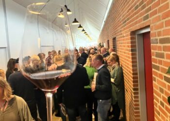 Hygge til Supervin Festival på Nordsøen Oceanarium i Hirtshals. Foto: Palle W. Nielsen