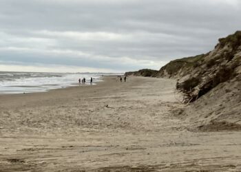 Tversted Strand. Foto (arkiv): Palle W. Nielsen