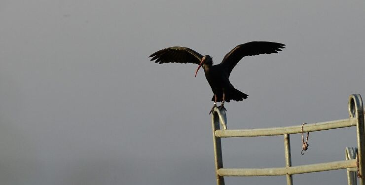 Foto: Jonna Andreassen.