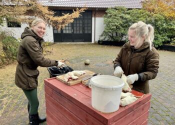 Foto: Ørnereservatet.
