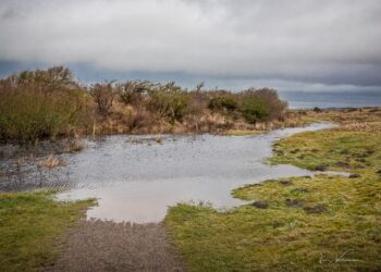 Foto (arkiv): Jens Kranen.