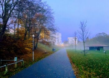 Svanelunden hænger sammen med Folkeparken. Foto (arkiv): Palle W. Nielsen