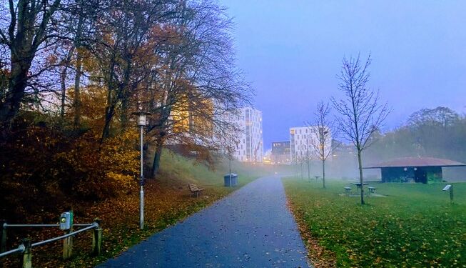 Svanelunden hænger sammen med Folkeparken. Foto (arkiv): Palle W. Nielsen