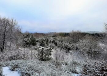På lørdag kan alle interesserede opleve den flotte natur i Brinkhus området under Naturpark Tolne. Privatfoto.