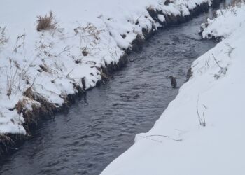 Gydepladser i Stenvad Å. Foto: Michael Ejstrup.